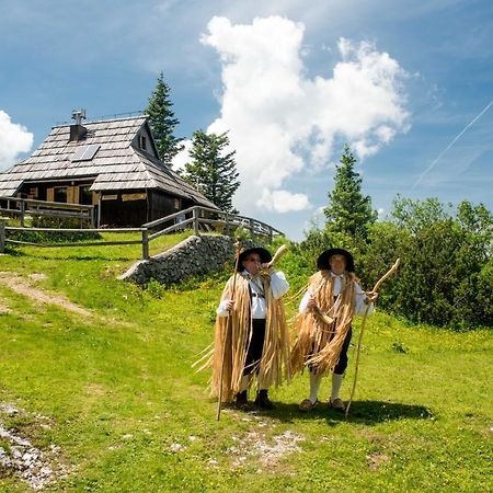 Chalet Tisa Velika Planina Stahovica Exteriör bild