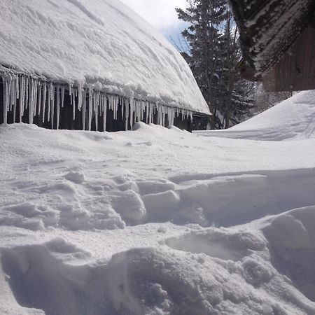 Chalet Tisa Velika Planina Stahovica Exteriör bild