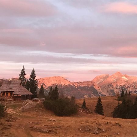Chalet Tisa Velika Planina Stahovica Exteriör bild