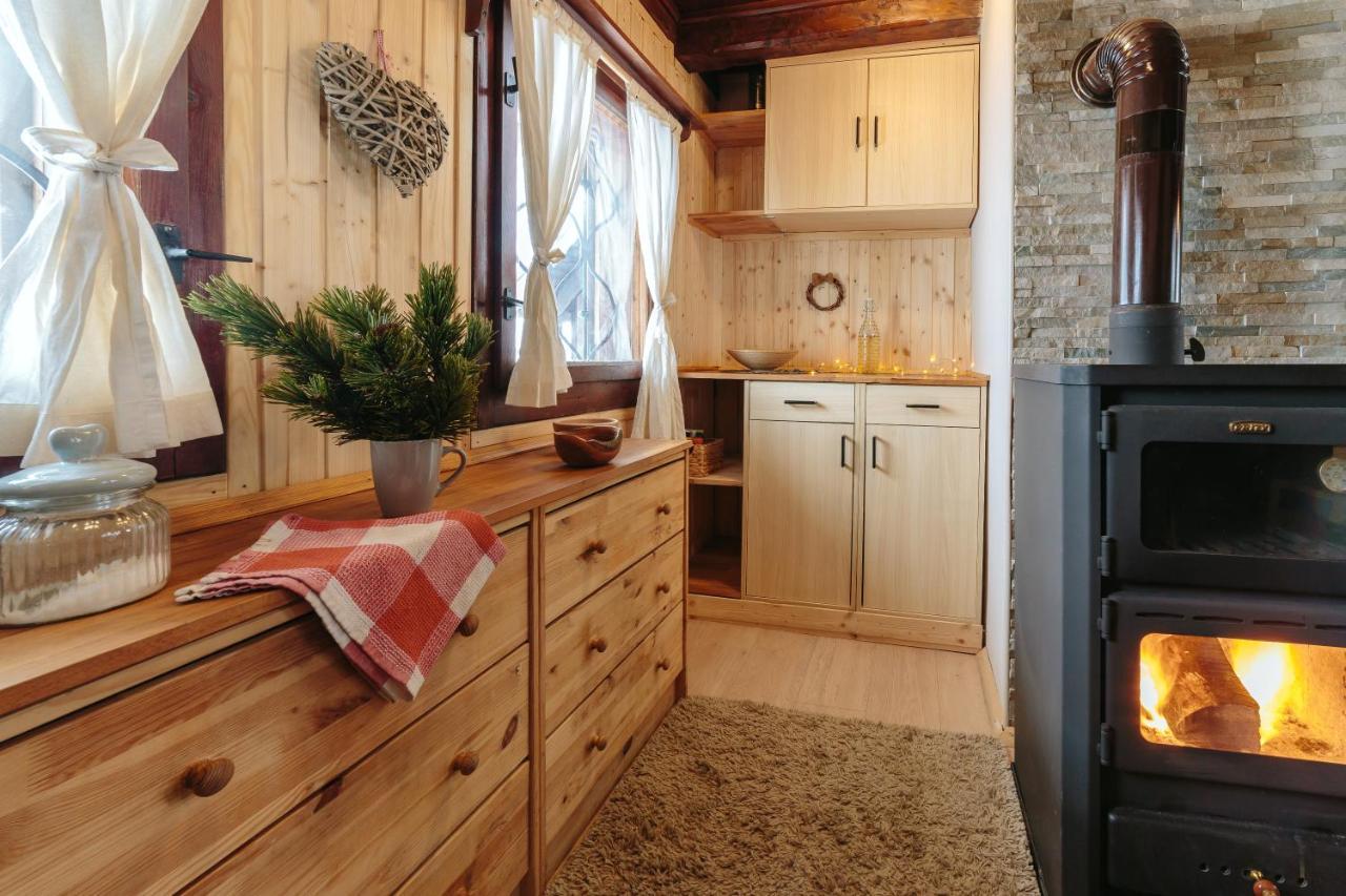 Chalet Tisa Velika Planina Stahovica Exteriör bild