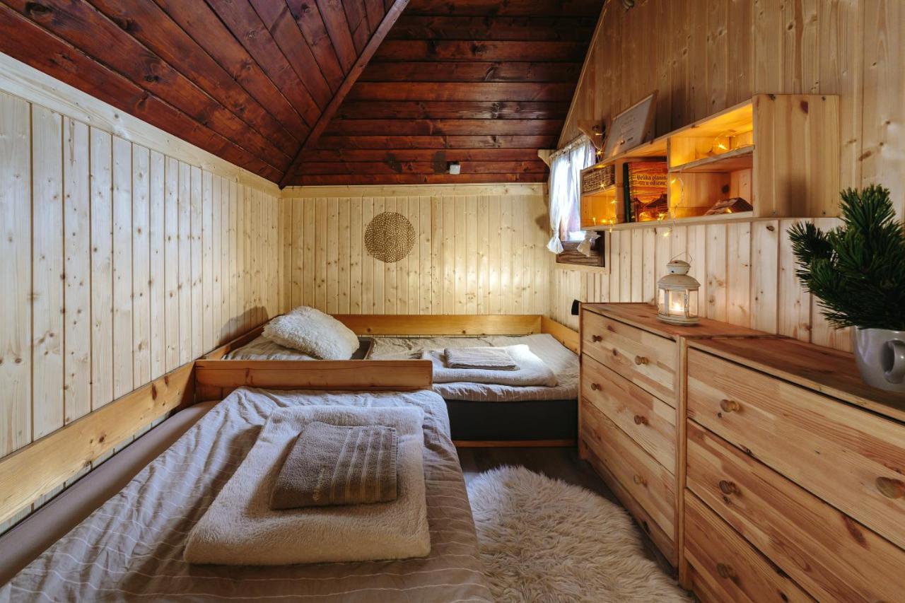 Chalet Tisa Velika Planina Stahovica Exteriör bild