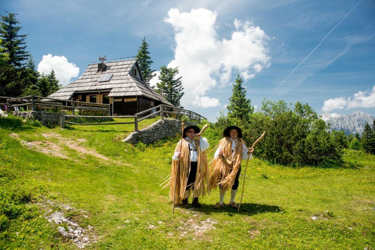 Chalet Tisa Velika Planina Stahovica Exteriör bild