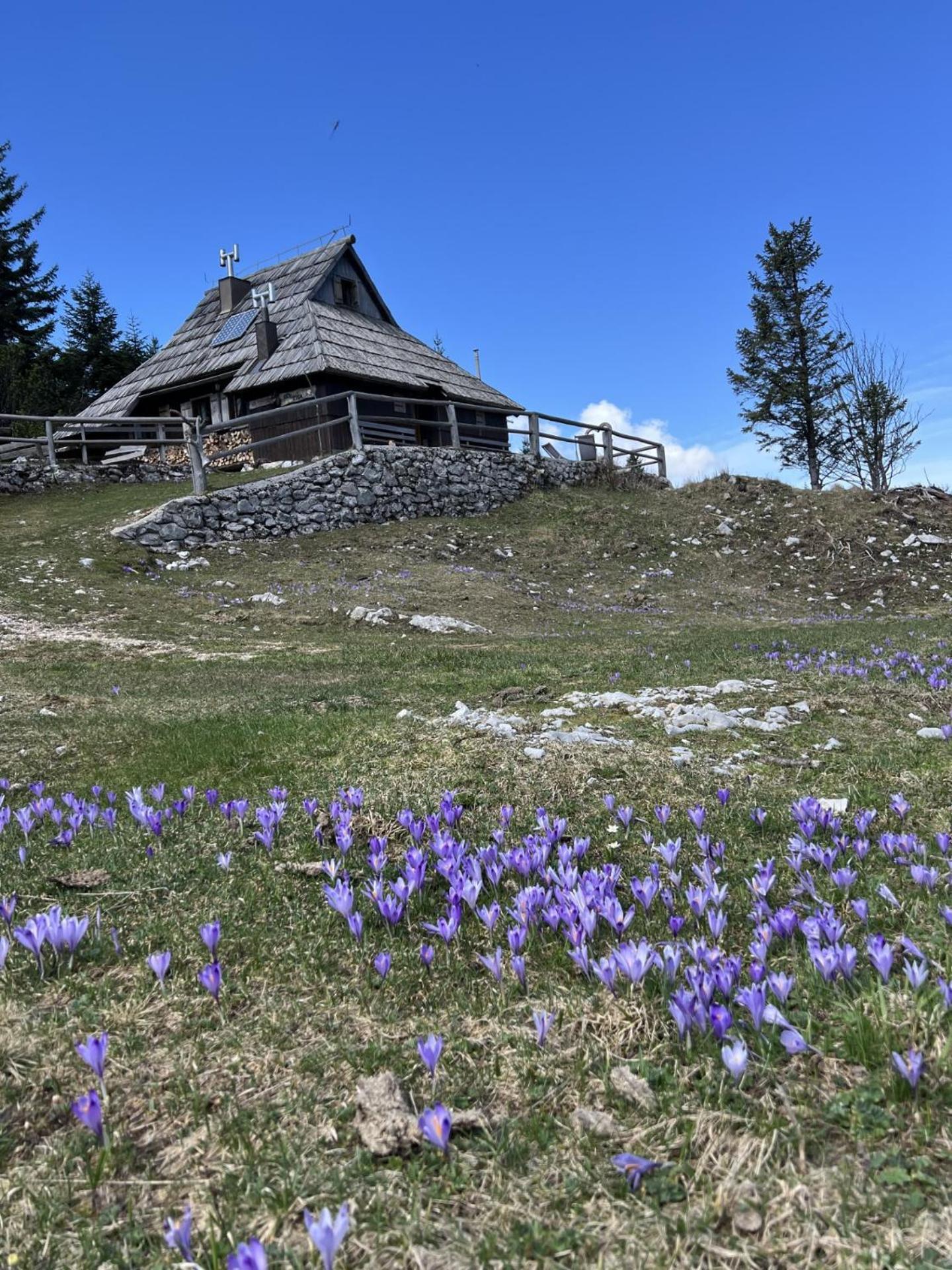 Chalet Tisa Velika Planina Stahovica Exteriör bild