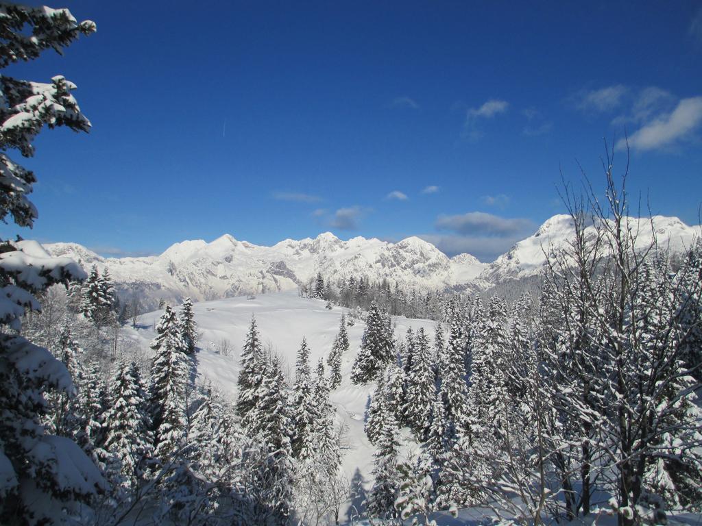 Chalet Tisa Velika Planina Stahovica Rum bild