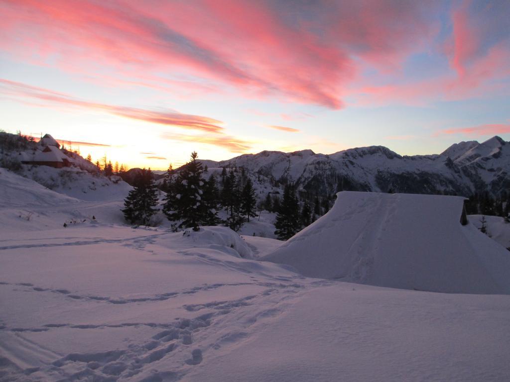 Chalet Tisa Velika Planina Stahovica Rum bild