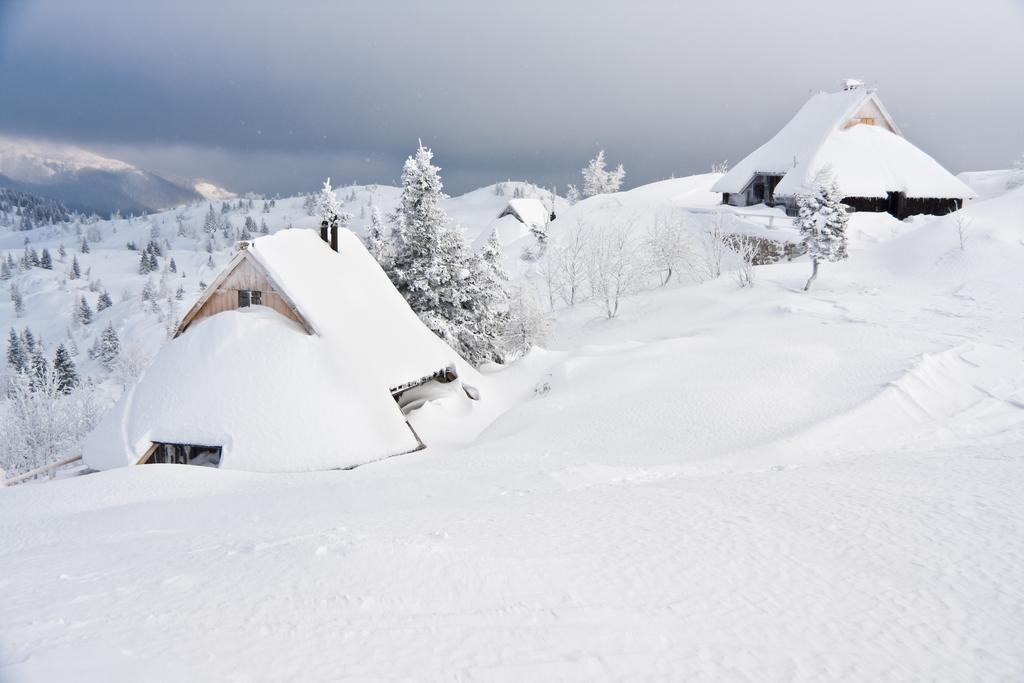Chalet Tisa Velika Planina Stahovica Rum bild