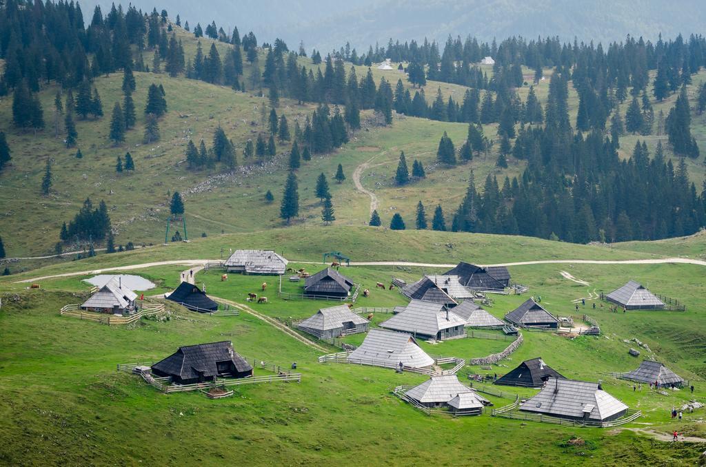 Chalet Tisa Velika Planina Stahovica Rum bild