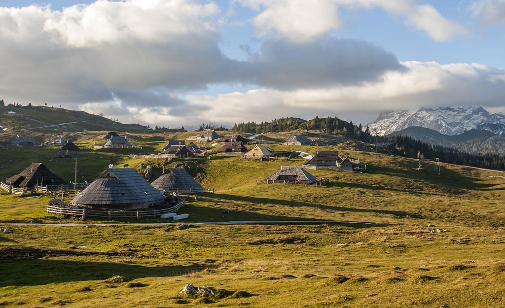 Chalet Tisa Velika Planina Stahovica Rum bild