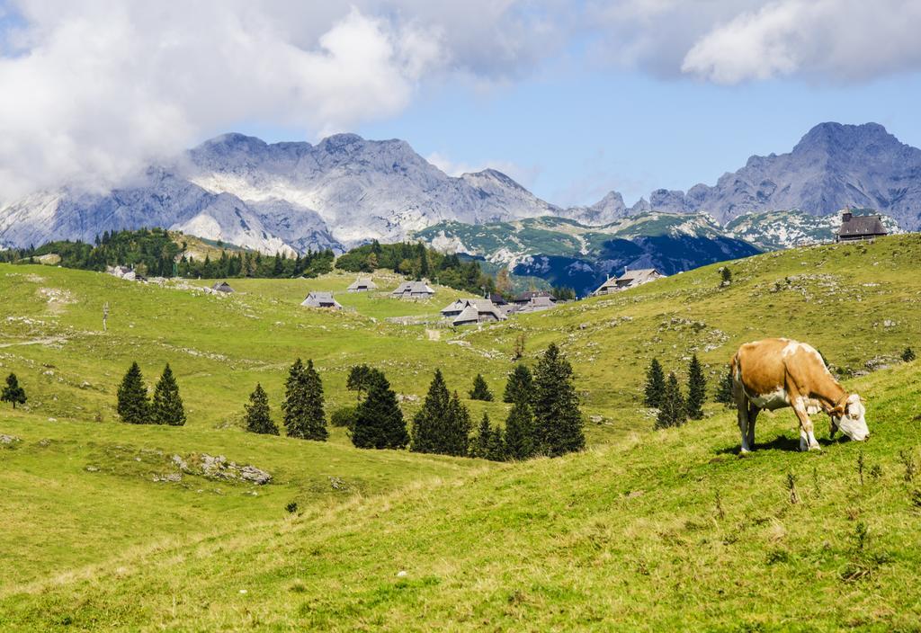 Chalet Tisa Velika Planina Stahovica Rum bild