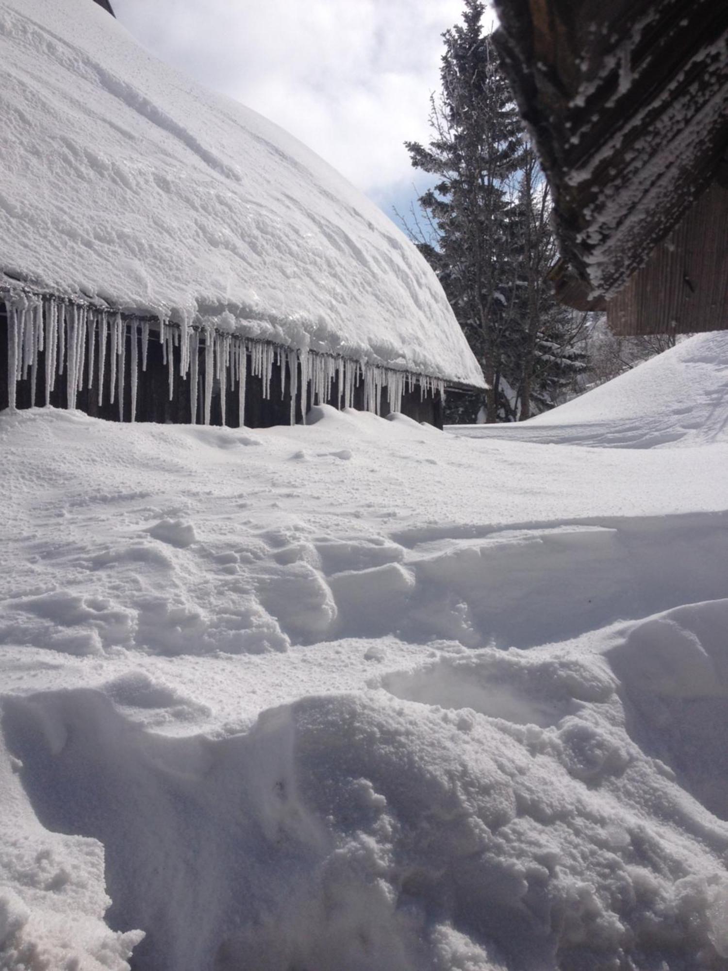 Chalet Tisa Velika Planina Stahovica Exteriör bild
