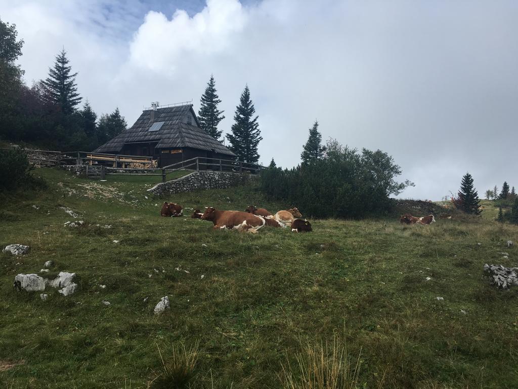 Chalet Tisa Velika Planina Stahovica Exteriör bild