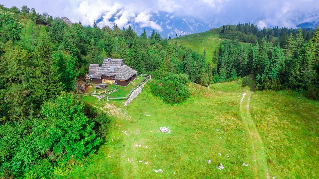 Chalet Tisa Velika Planina Stahovica Exteriör bild