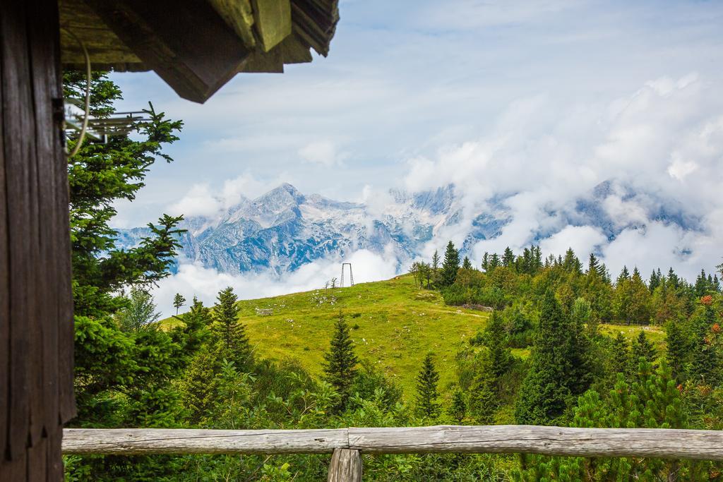 Chalet Tisa Velika Planina Stahovica Exteriör bild