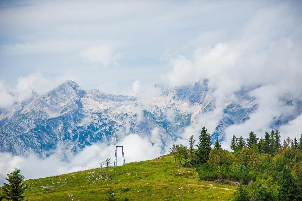 Chalet Tisa Velika Planina Stahovica Exteriör bild