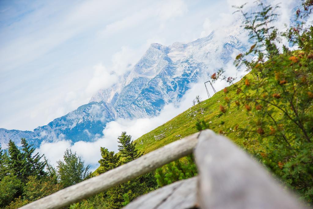 Chalet Tisa Velika Planina Stahovica Exteriör bild