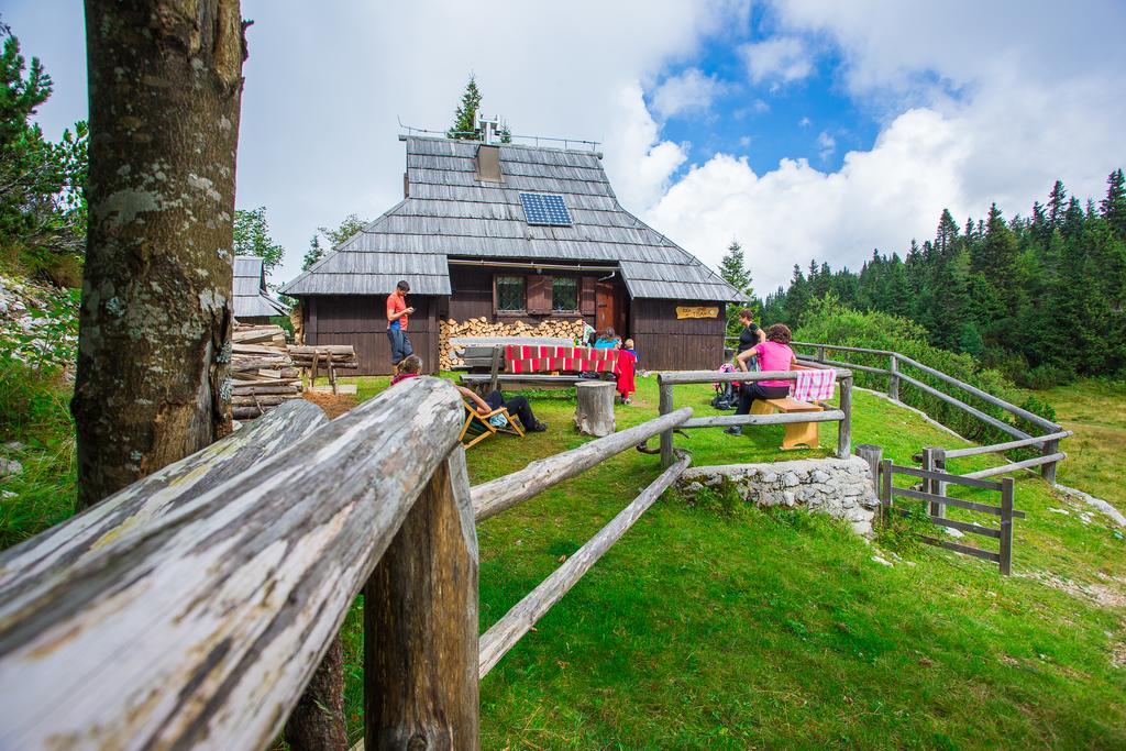 Chalet Tisa Velika Planina Stahovica Exteriör bild