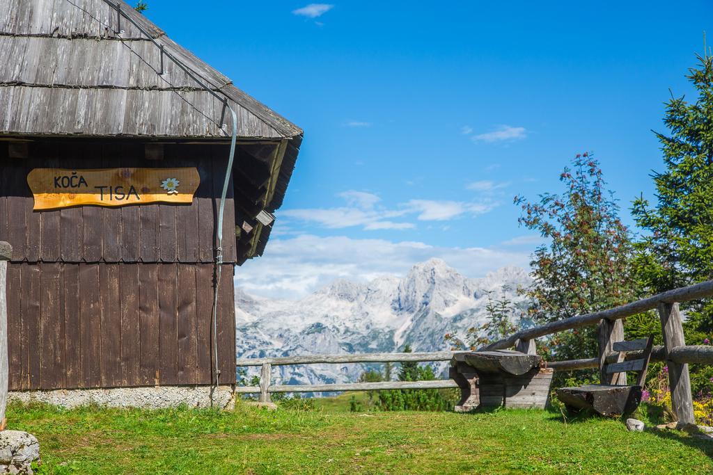 Chalet Tisa Velika Planina Stahovica Exteriör bild