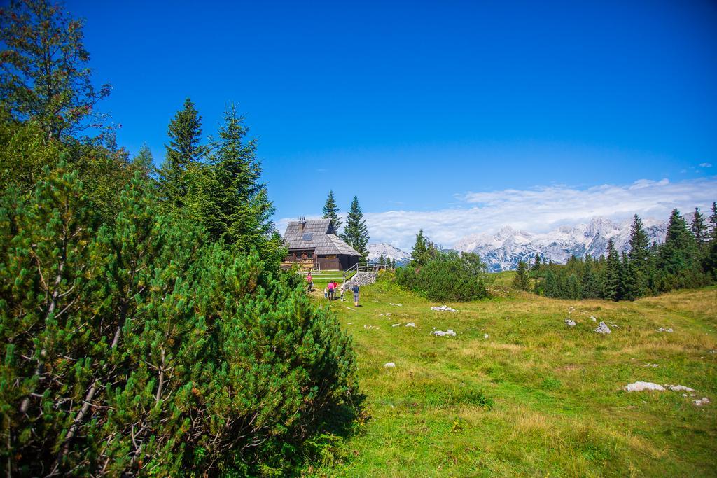 Chalet Tisa Velika Planina Stahovica Exteriör bild