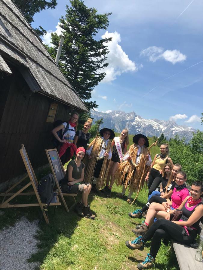 Chalet Tisa Velika Planina Stahovica Exteriör bild