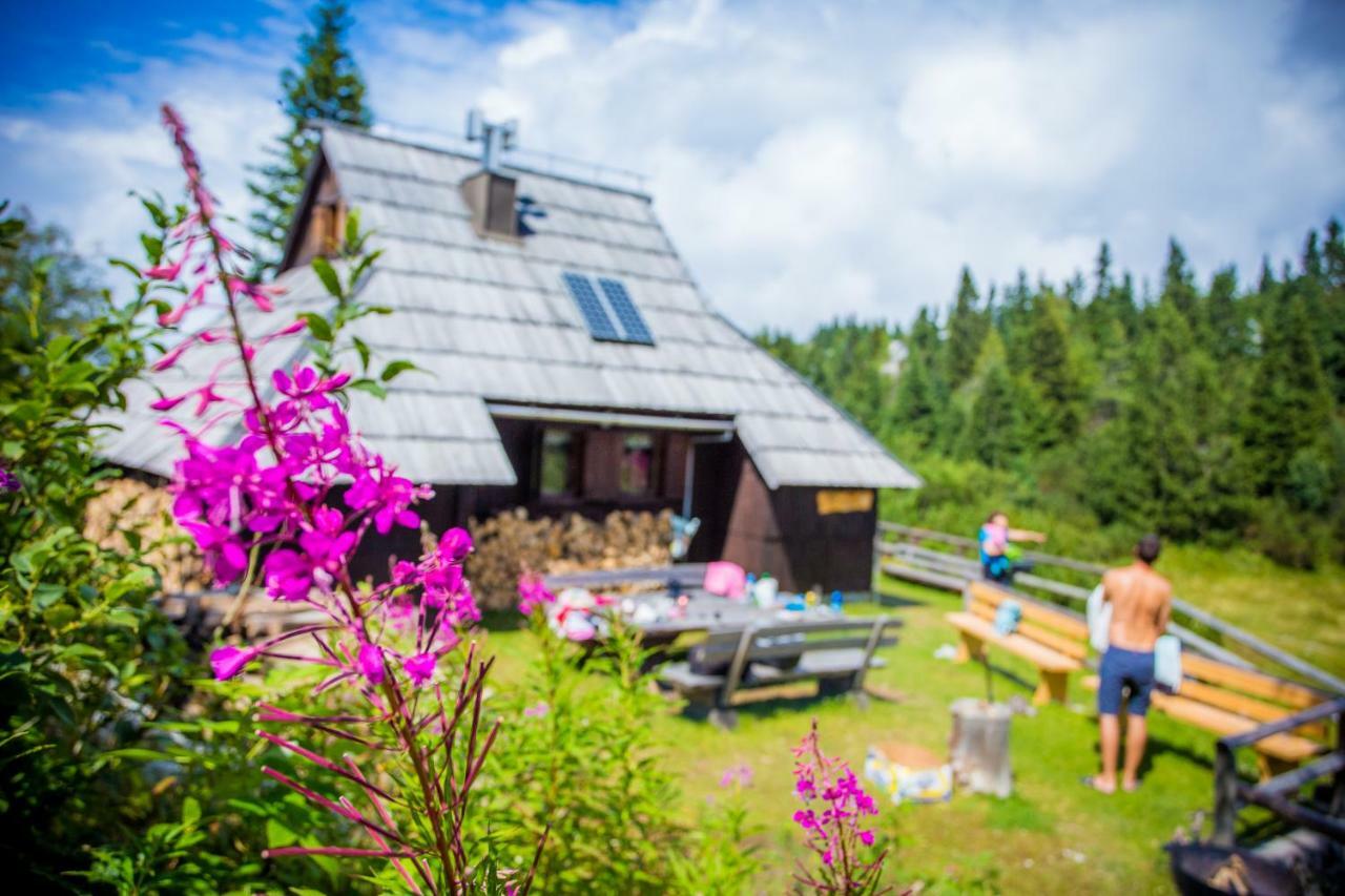 Chalet Tisa Velika Planina Stahovica Exteriör bild