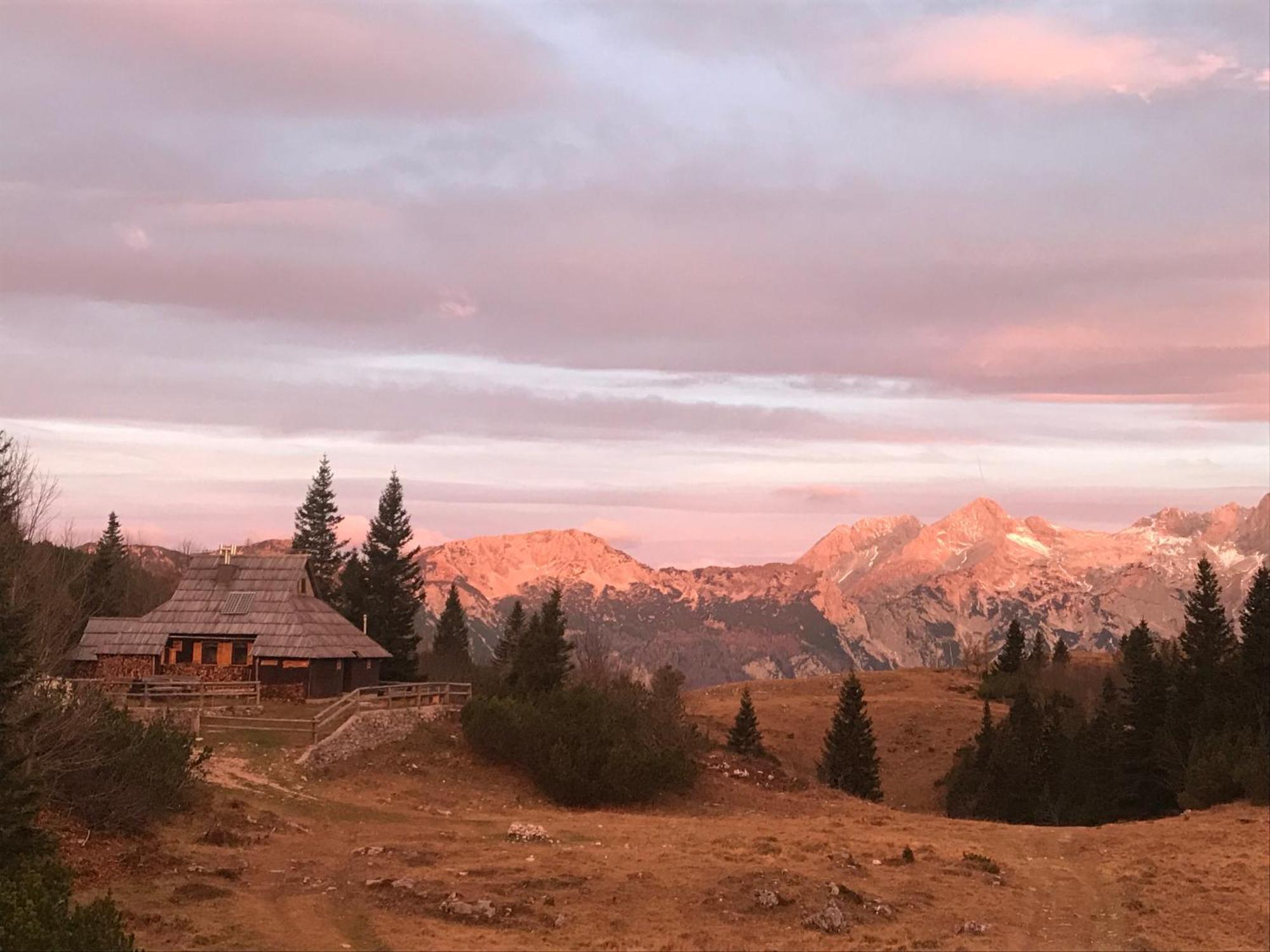 Chalet Tisa Velika Planina Stahovica Exteriör bild